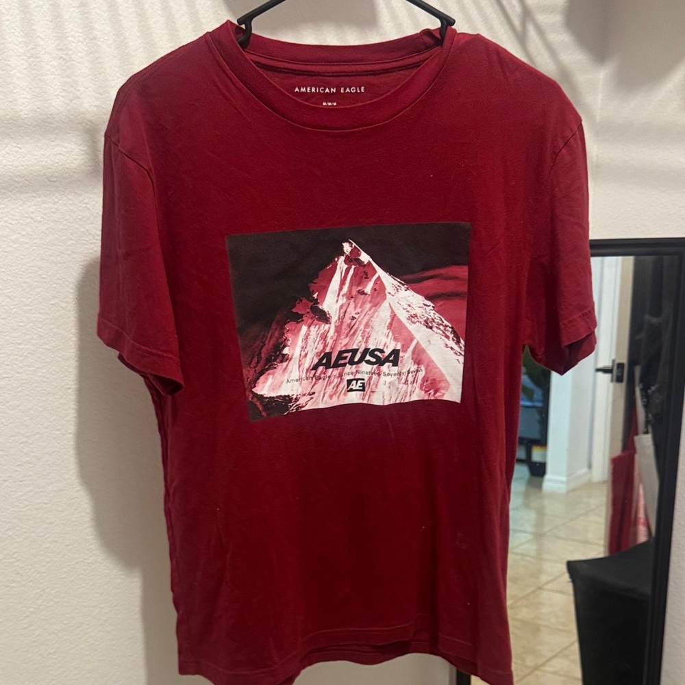 American Eagle Outfitters Burgundy Mountain Graphic Tee